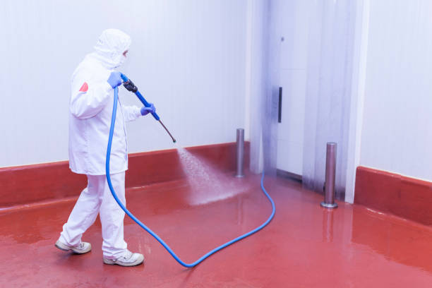 Best Spring Cleaning  in Jasmine Estates, FL